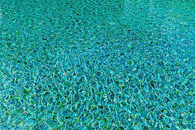 经营建造游戏《好莱坞动物》实机预告 年内发售